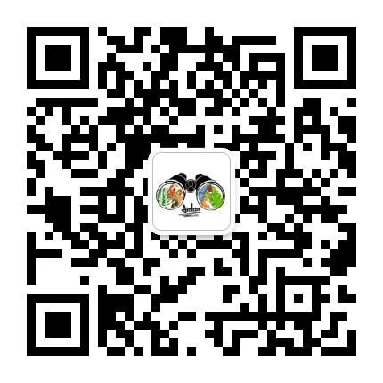 微信公众号